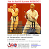 Vi starter med Kobudo, rett etter sommerferien!