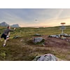 Caddybok for Nordnorsk mesterskap 2023