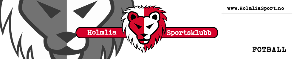 Årlig møte i fotballgruppa i HSK 2024