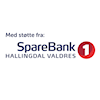 Støtte til kamera og utstyr fra Sparebankstiftelsen Hallingdal