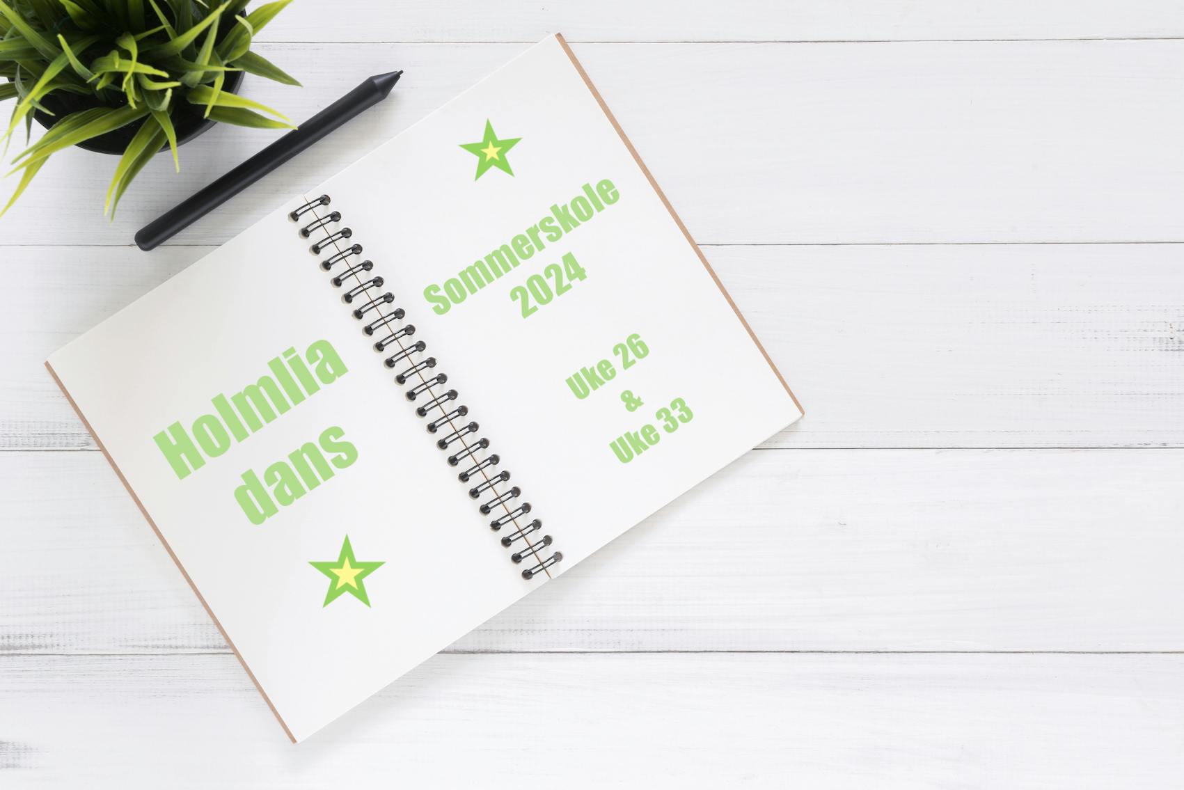 HOLMLIA DANS SOMMERSKOLER 2024