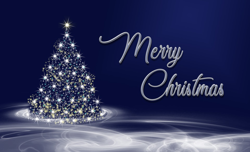 Borg MCK RR ønsker alle RR Fører, Funksjonærer, Hjelpere og deres familie en God Jul.