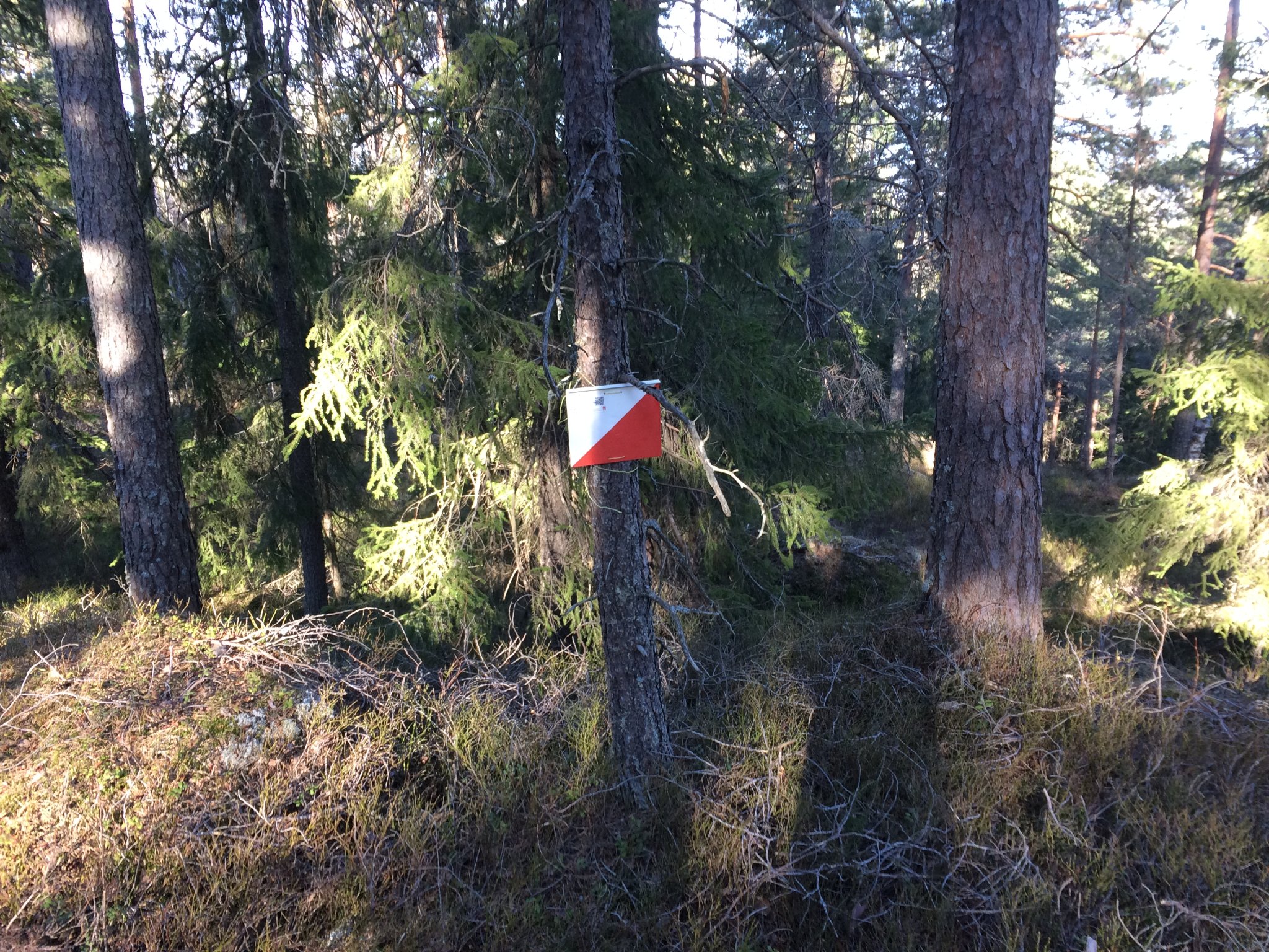 Vinterpostene (Skijeger'n) i Østmarka er tilgjengelig!