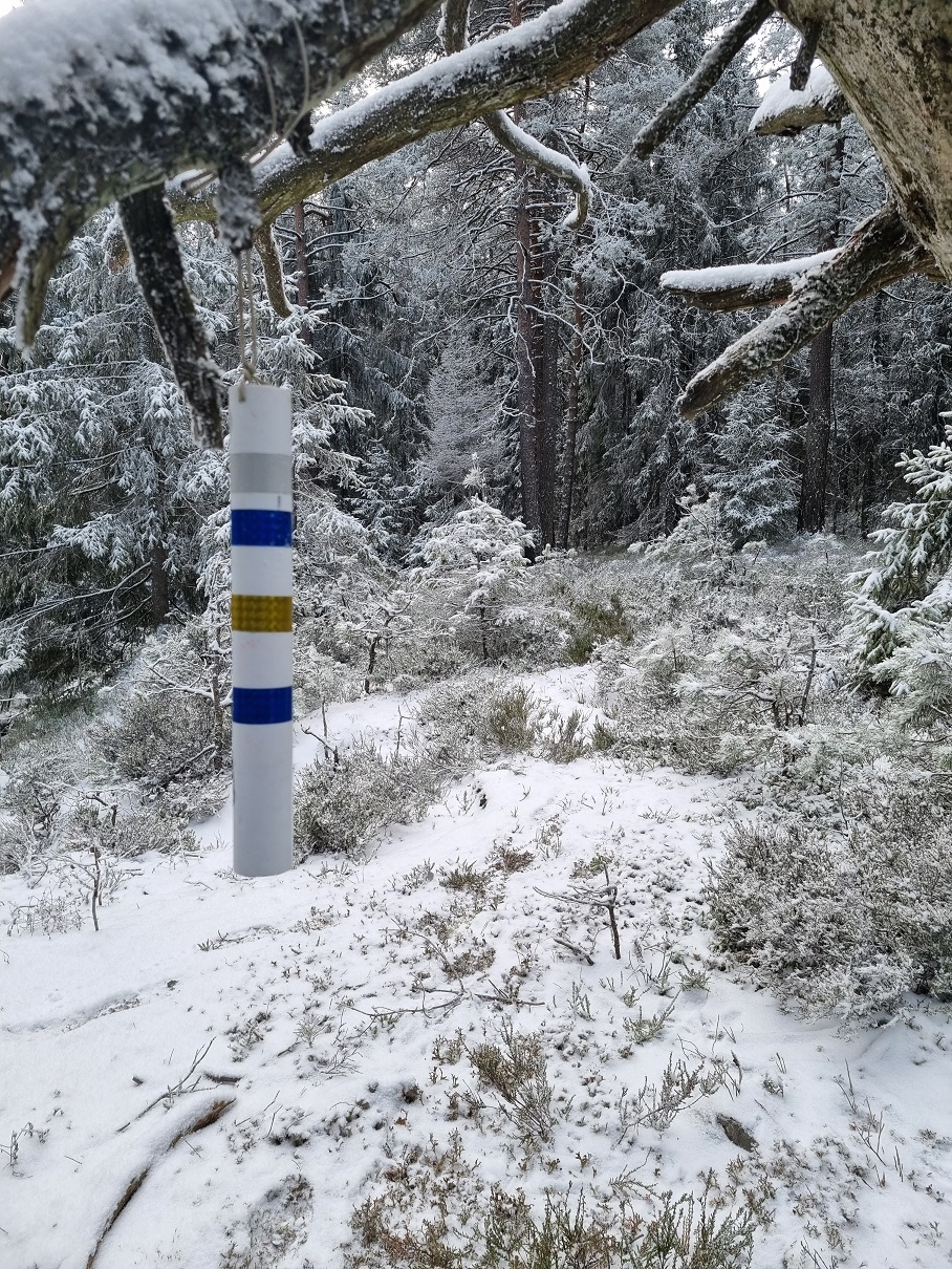 Forslag til aktivitet i julen: finn ekstra poster i marka