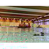 Bassengtrening