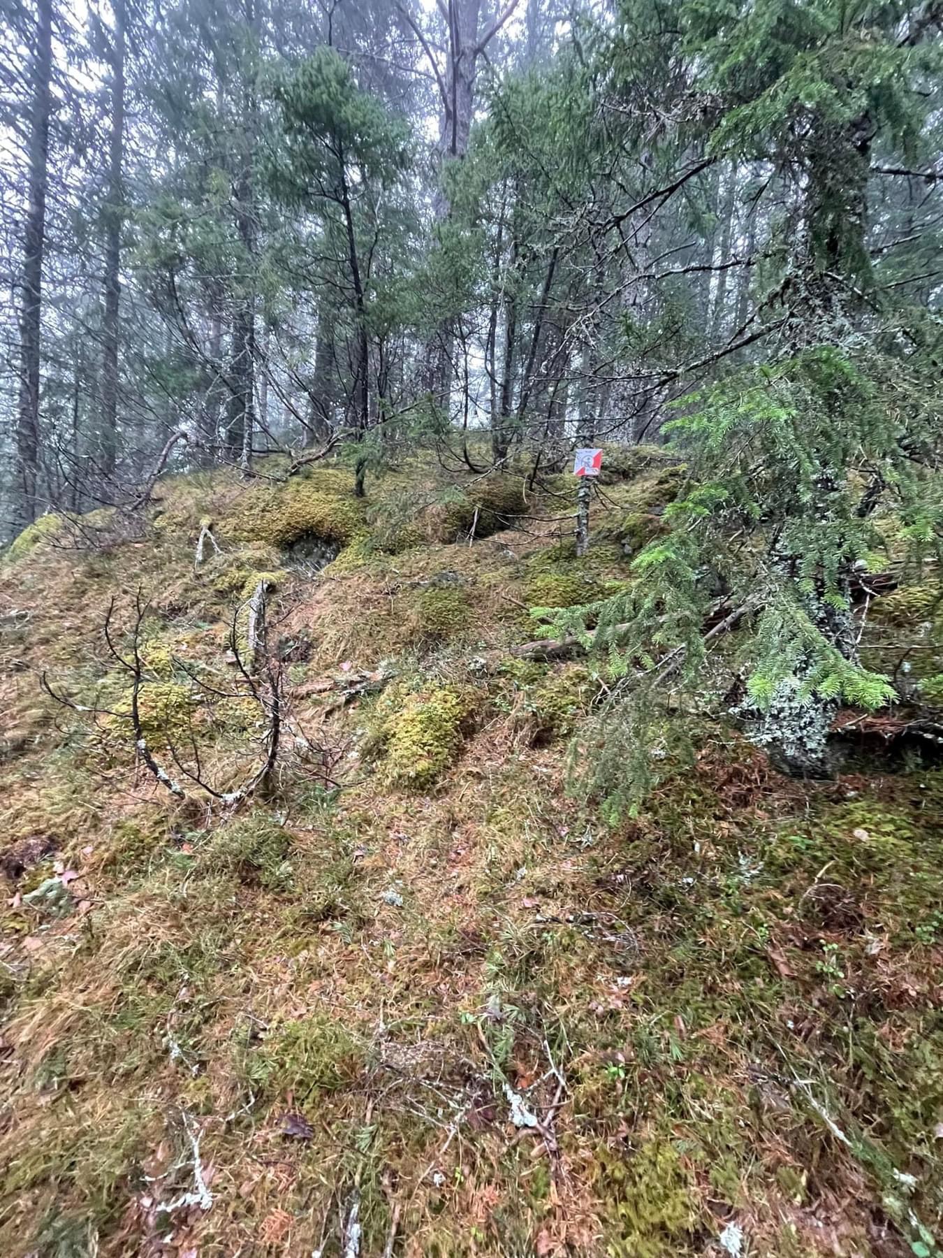 Våren kom tidlig i år. Post 1 - 10 og 55 - 76 står ute.