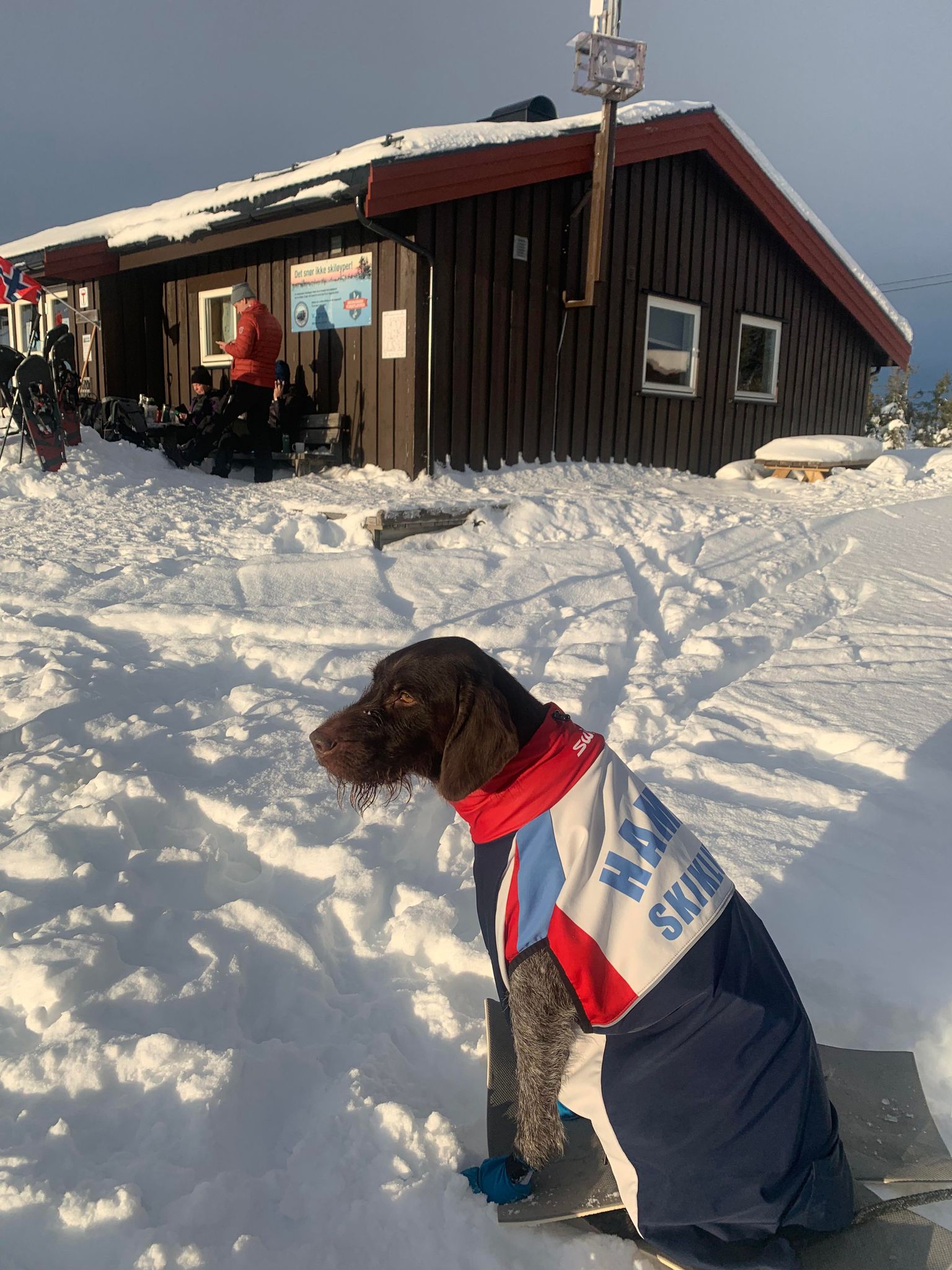 Stenfjellhytta - vi mangler dugnadsvakter s&#xF8;ndag 11.februar &amp;#43; noe i mars - f&#xE5; plasser igjen, meld dere p&#xE5;!