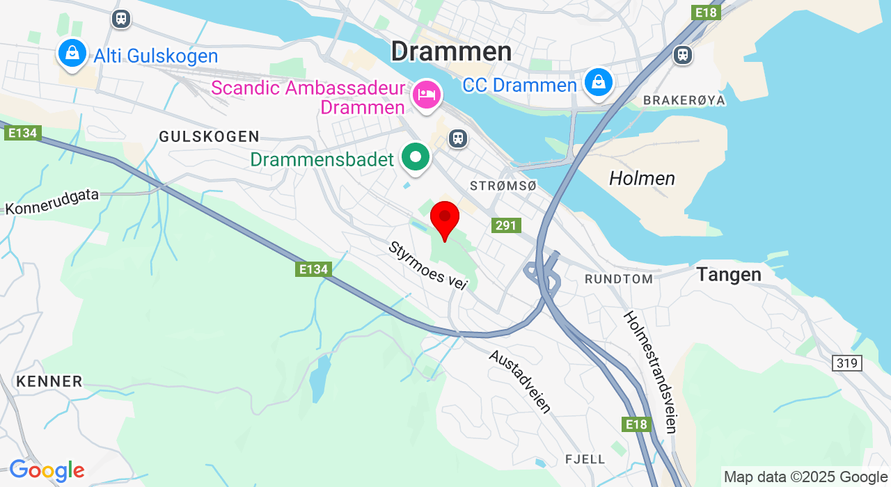 Google Map of https://www.google.com/maps/place/Bikkjestykket,Drammen