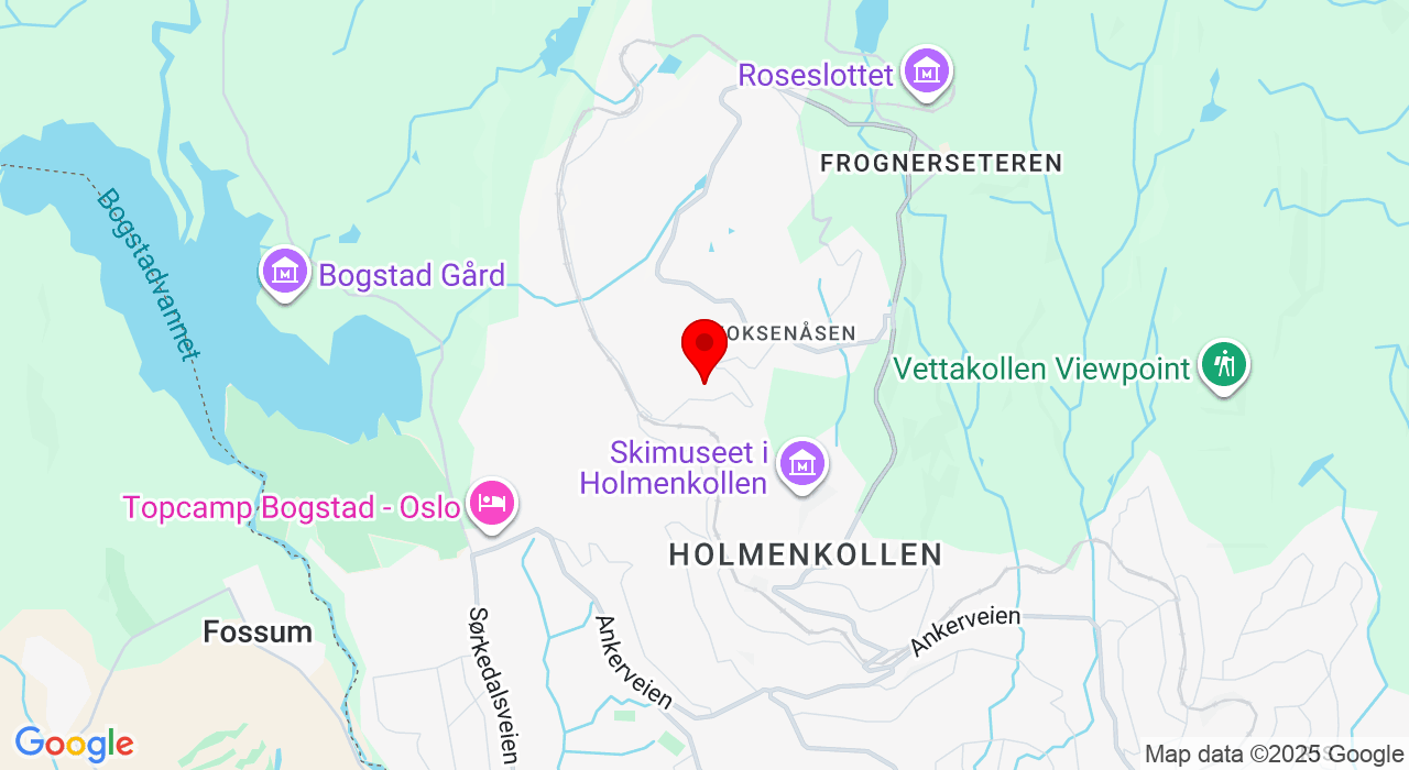 Google Map of https://www.google.com/maps/place/Holmenkollen,0789+Oslo