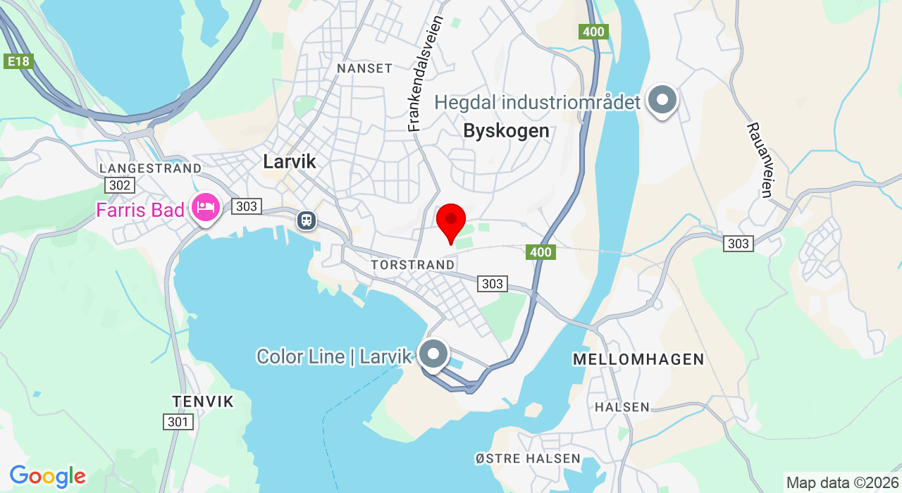 Google Map of https://www.google.com/maps/place/Framhallen