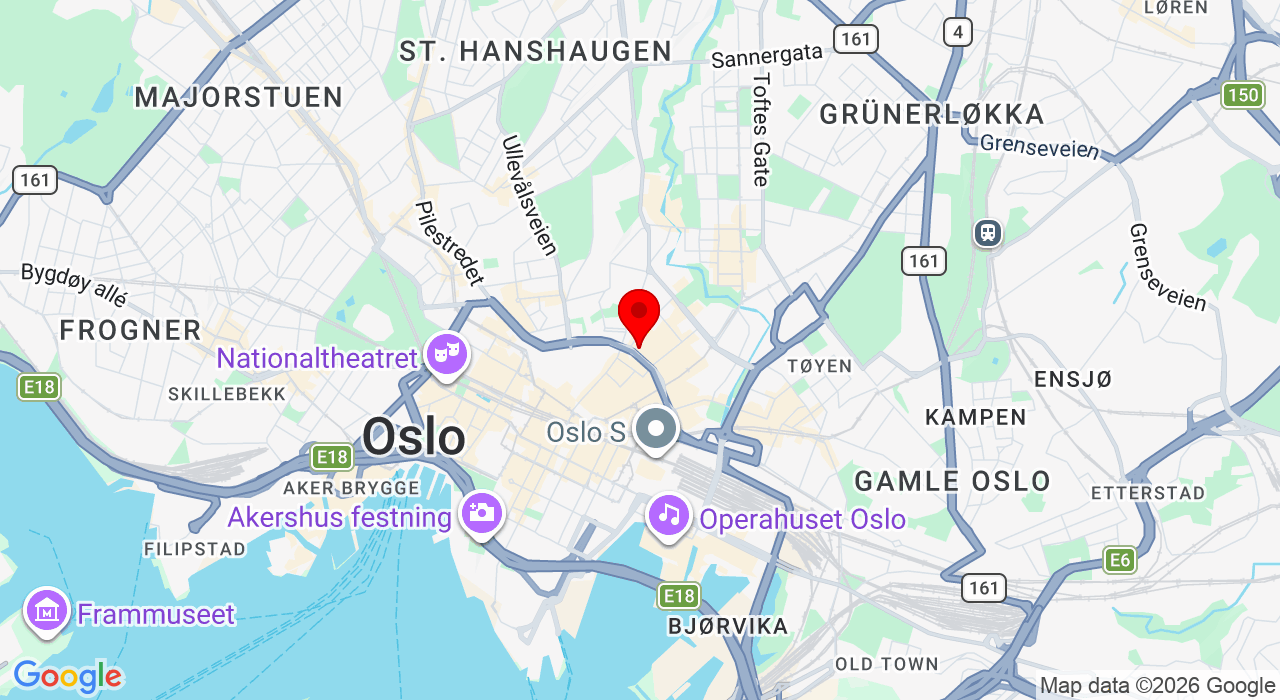 Google Map of https://www.google.com/maps/place/torggata 16,0181+Oslo