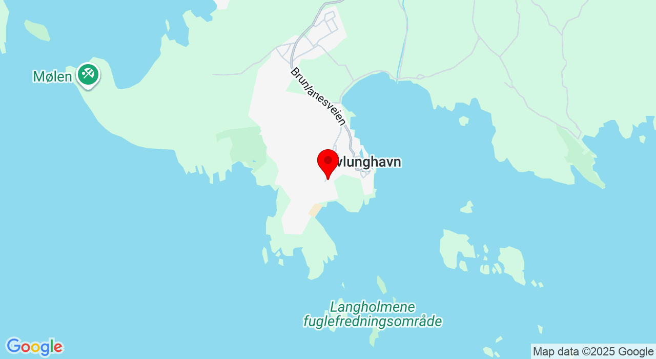 Google Map of https://www.google.com/maps/place/Oddaneveien 59,3296+Nevlunghavn