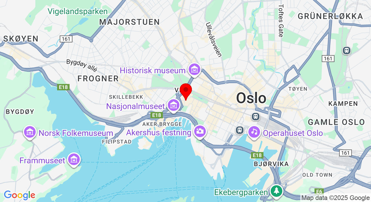Google Map of https://www.google.com/maps/place/Olav Vs gate 4,0161+Oslo
