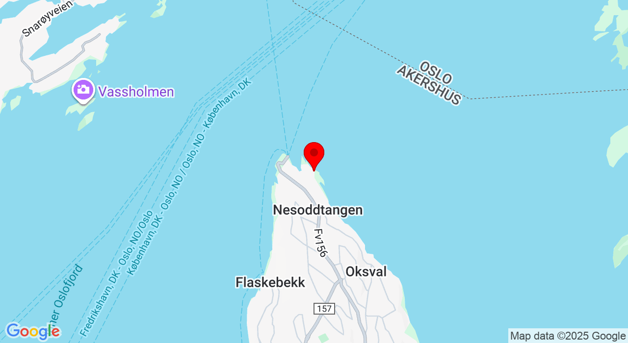 Google Map of https://www.google.com/maps/place/Lagvegen 8,1450+Nesoddtangen