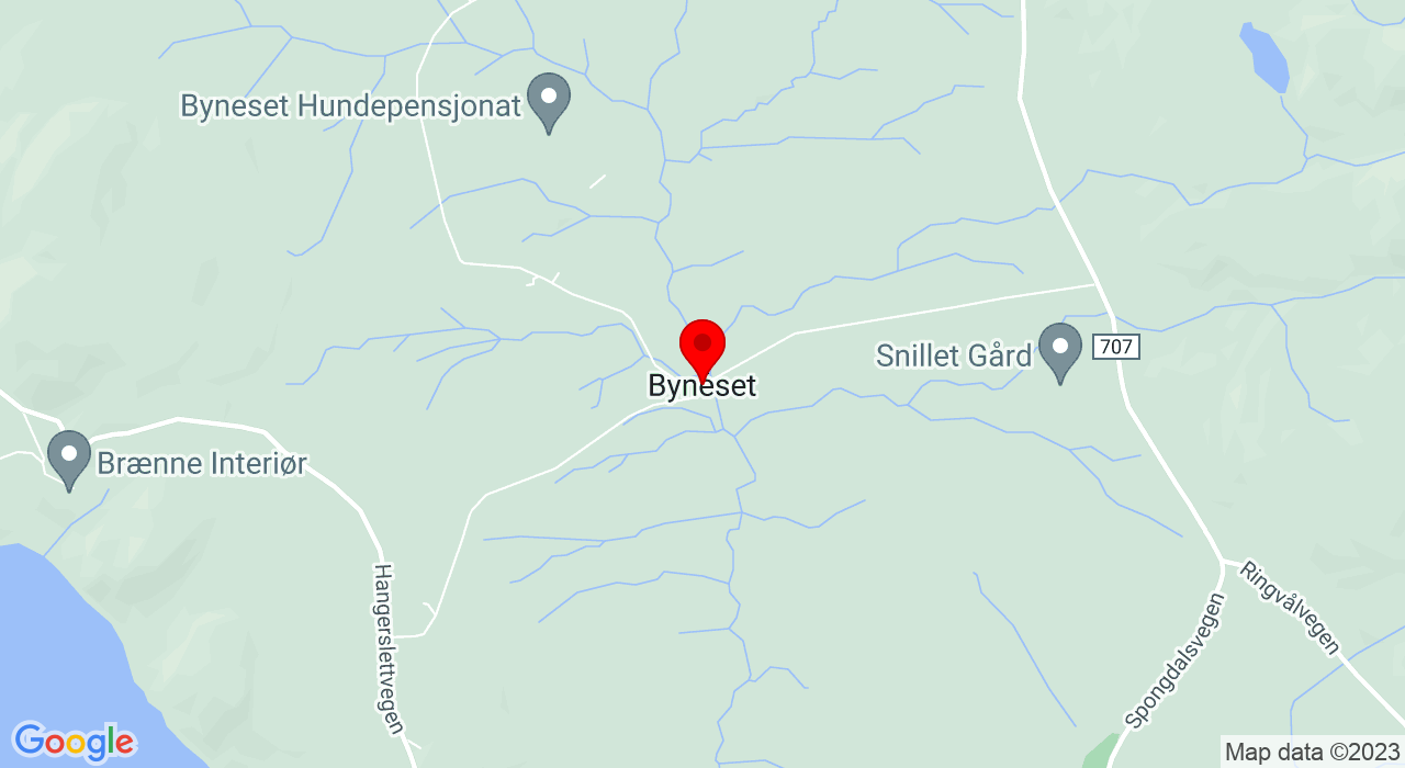 Google Map of https://www.google.com/maps/place/Byneset kunstgress Del A
