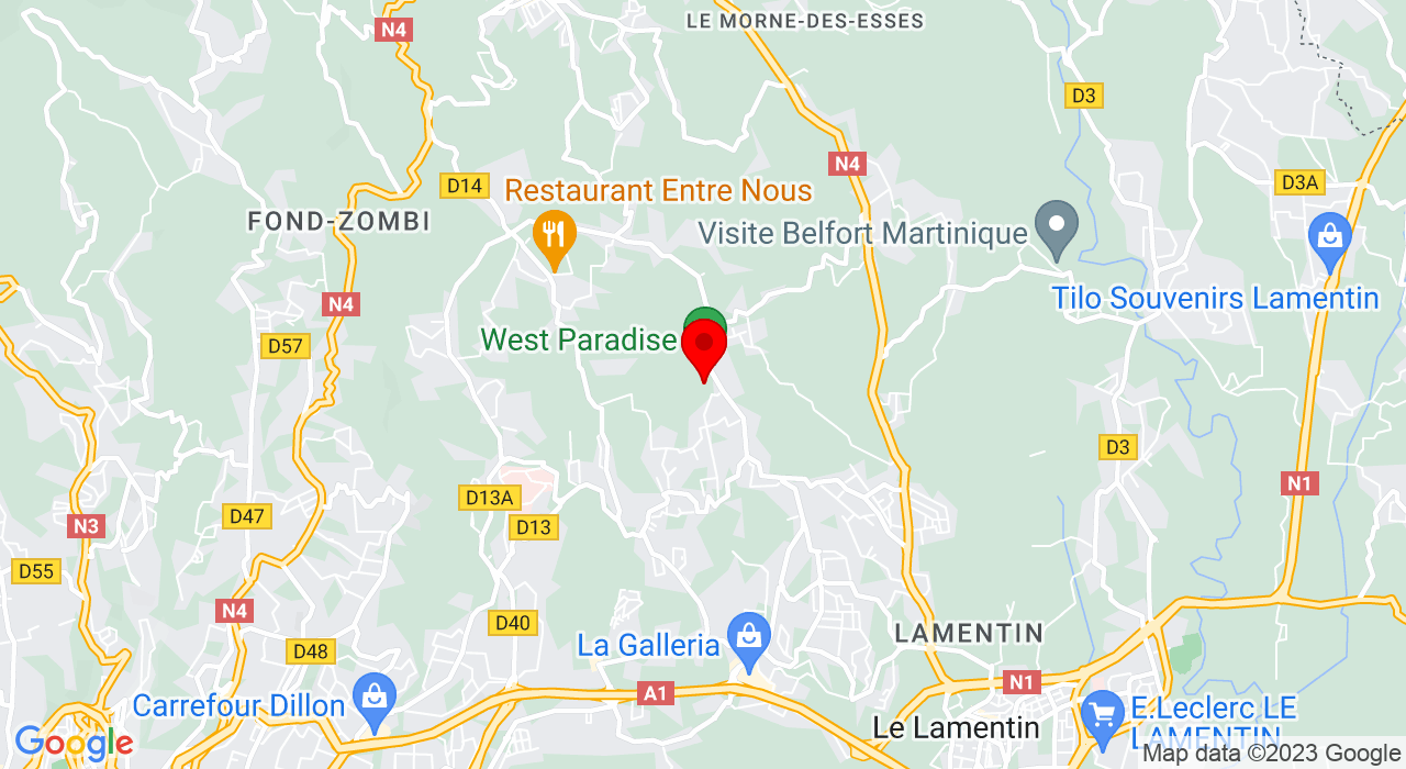Google Map of https://www.google.com/maps/place/Martinique bar i Pedersgata