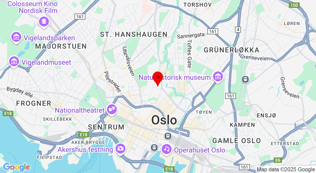 Google Map of https://www.google.com/maps/place/Google Meet,0178+Oslo