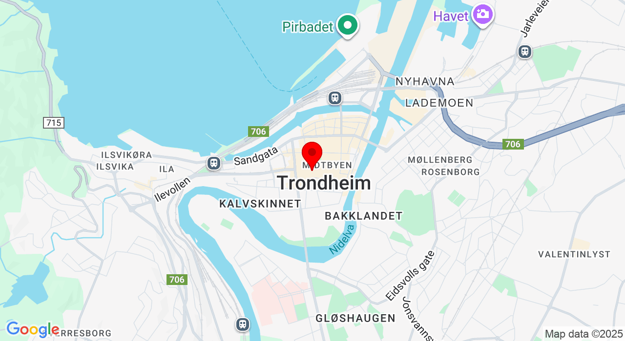 Google Map of https://www.google.com/maps/place/Trondheim