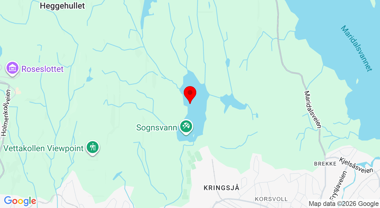 Google Map of https://www.google.com/maps/place/Sognsvann t-banestasjon
