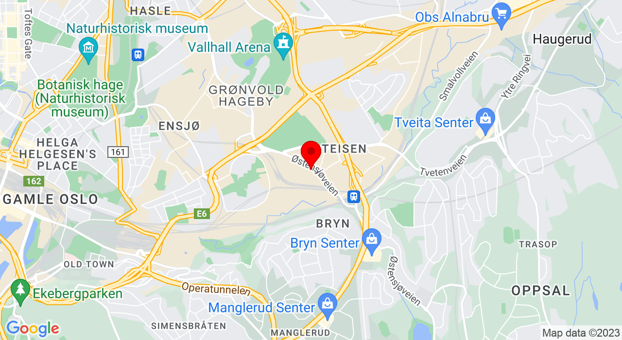 Google Map of https://www.google.com/maps/place/Brynsveien 13,0667+OSLO