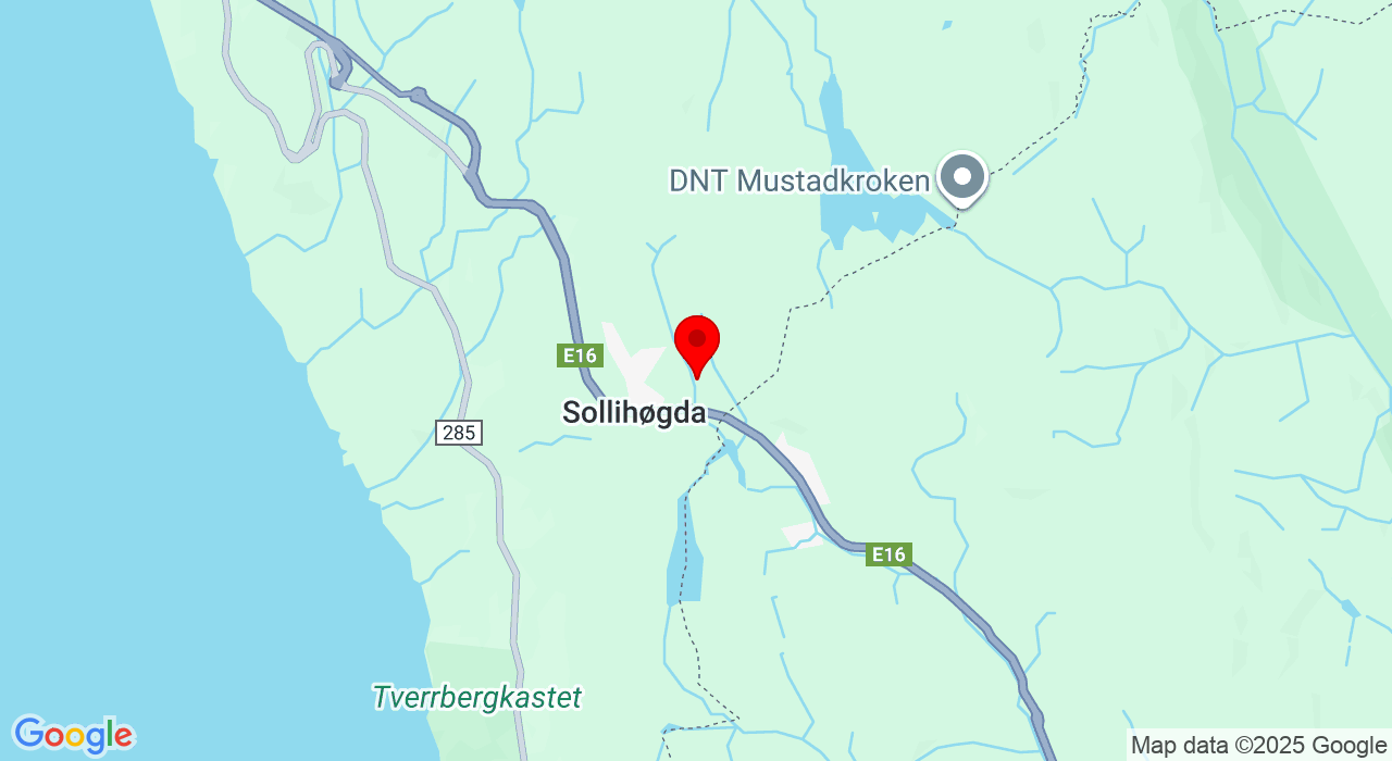 Google Map of https://www.google.com/maps/place/Toresplassveien,3538+Sollihøgda