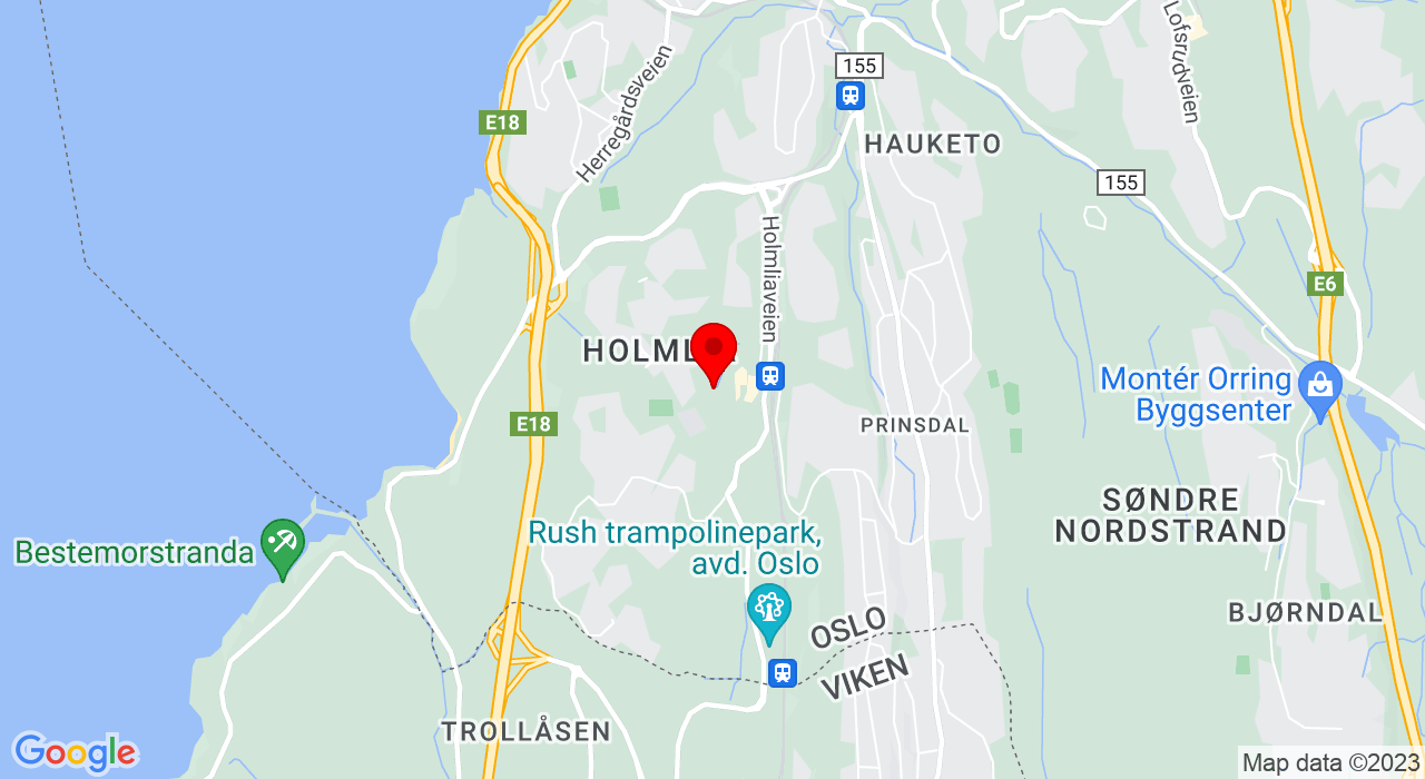 Google Map of https://www.google.com/maps/place/Holmlia flerbrukshall, fjellhallen Holmlia senter vei 34,1255+OSLO