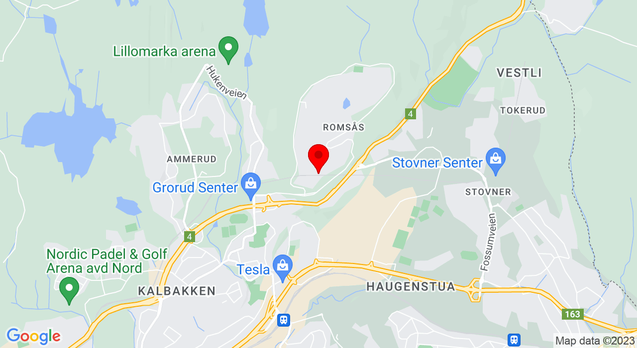 Google Map of https://www.google.com/maps/place/Tiurleiken skole