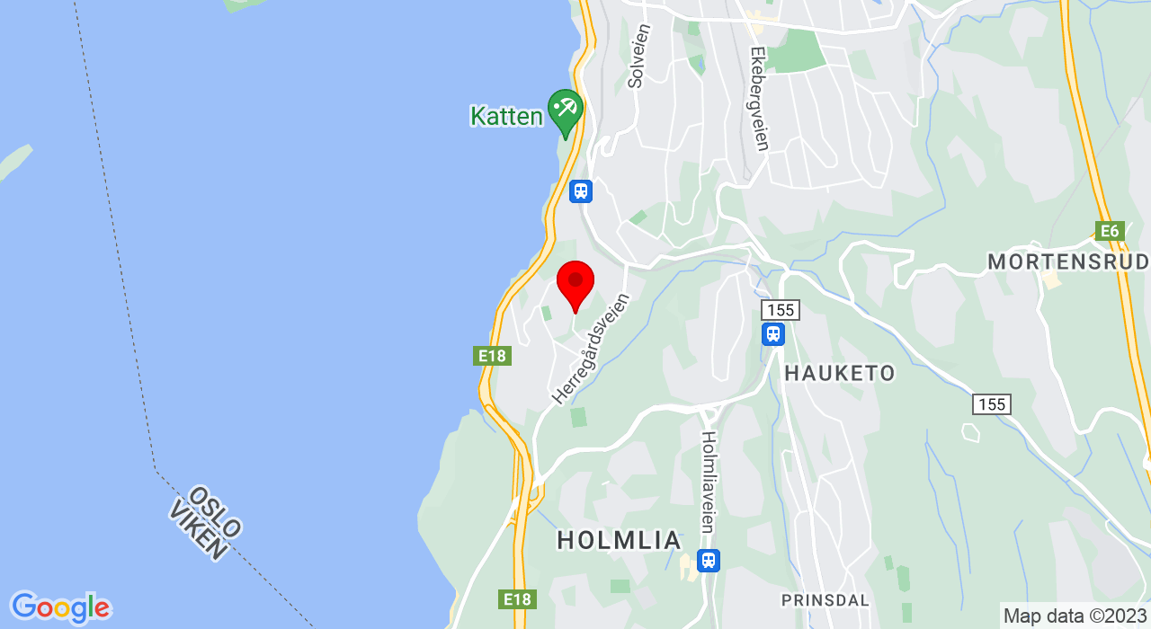 Google Map of https://www.google.com/maps/place/Furumoen