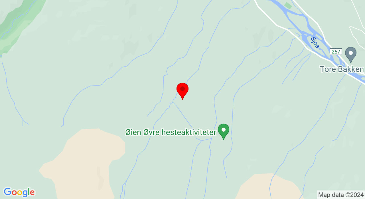 Google Map of https://www.google.com/maps/place/Heidalsveien 940,2677+NEDRE HEIDAL