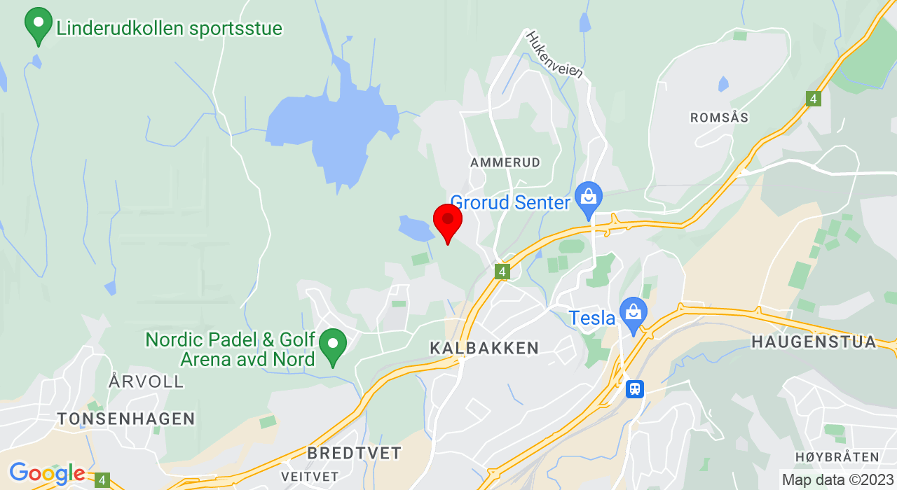 Google Map of https://www.google.com/maps/place/tjernveien 12,oslo