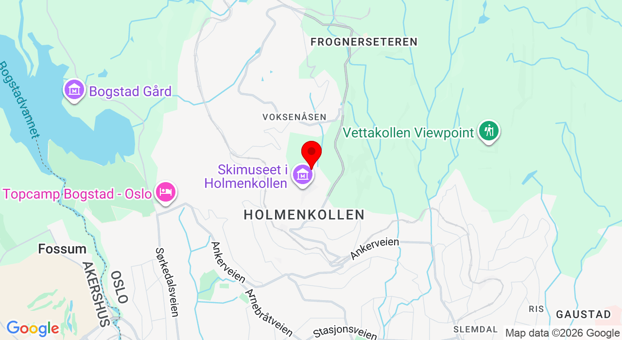 Google Map of https://www.google.com/maps/place/Bull Aktiv Kongeveien, Holmenkollen,0787+Oslo