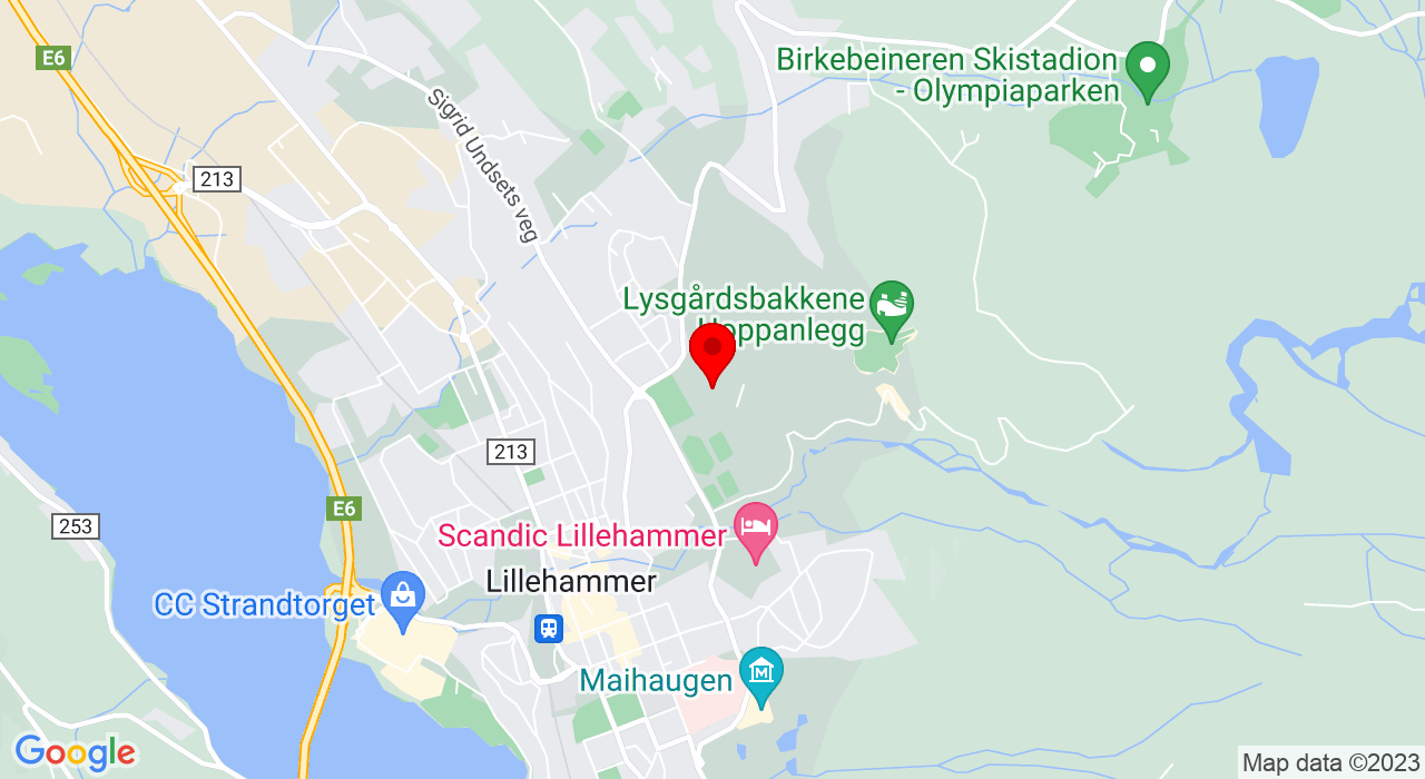 Google Map of Håkons Hall