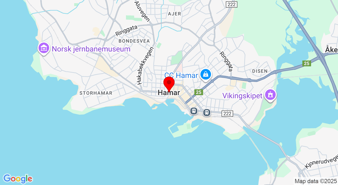 Google Map of https://www.google.com/maps/place/Brygge 20,Hamar