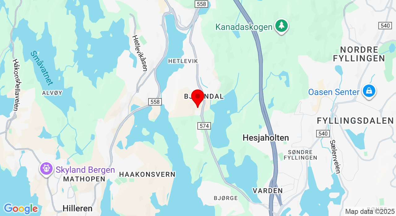 Google Map of https://www.google.com/maps/place/Bjørndalsskogen skole