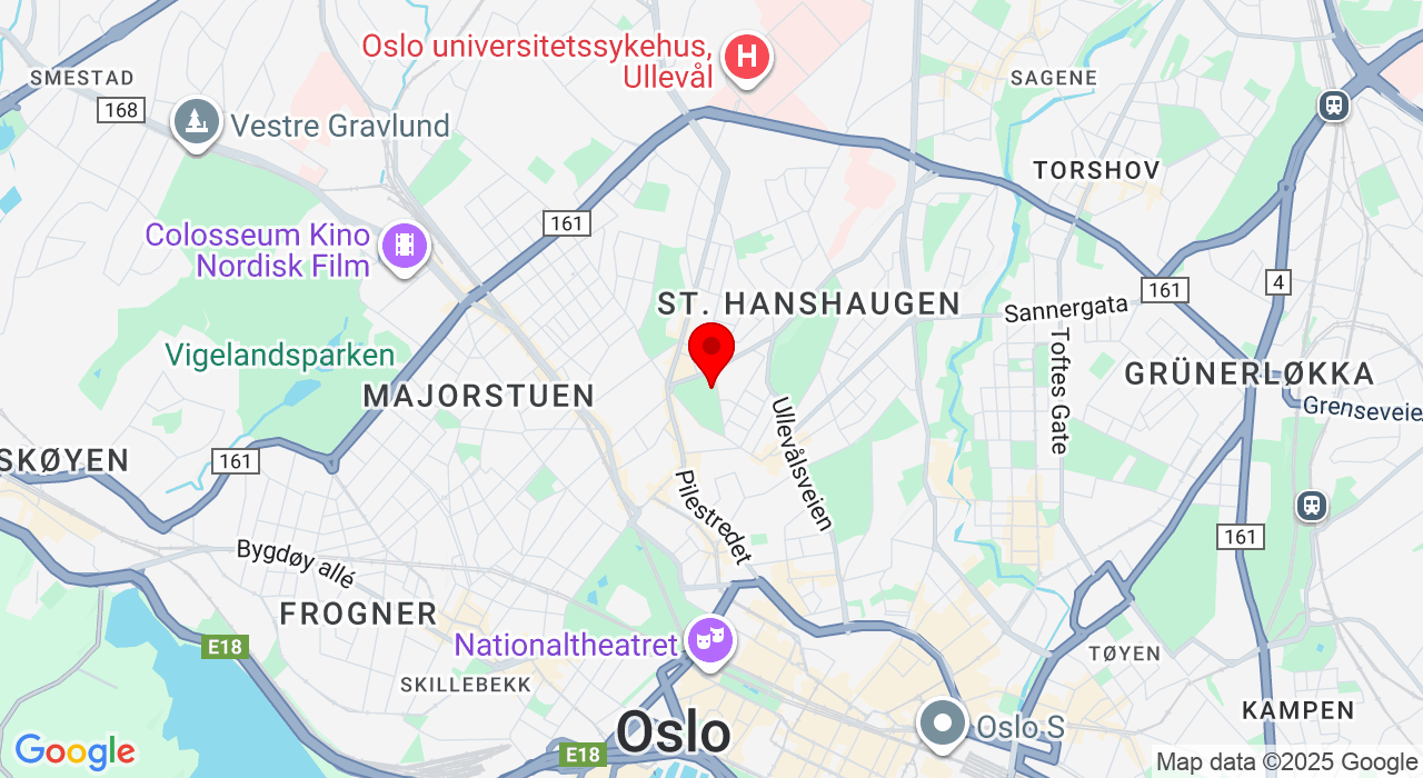 Google Map of https://www.google.com/maps/place/Louises gate 1,0168+Oslo
